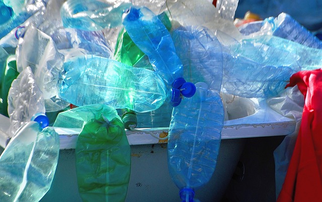 El futuro del reciclaje de residuos en América Latina y el Caribe: innovación digital y economía circular Cristina Enea Fundazioa