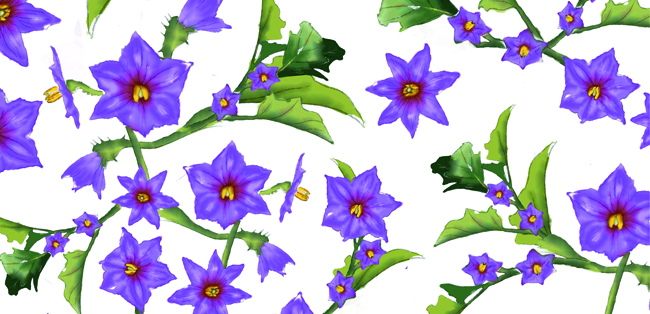 #Las desconocidas flores de las verduras que comemos